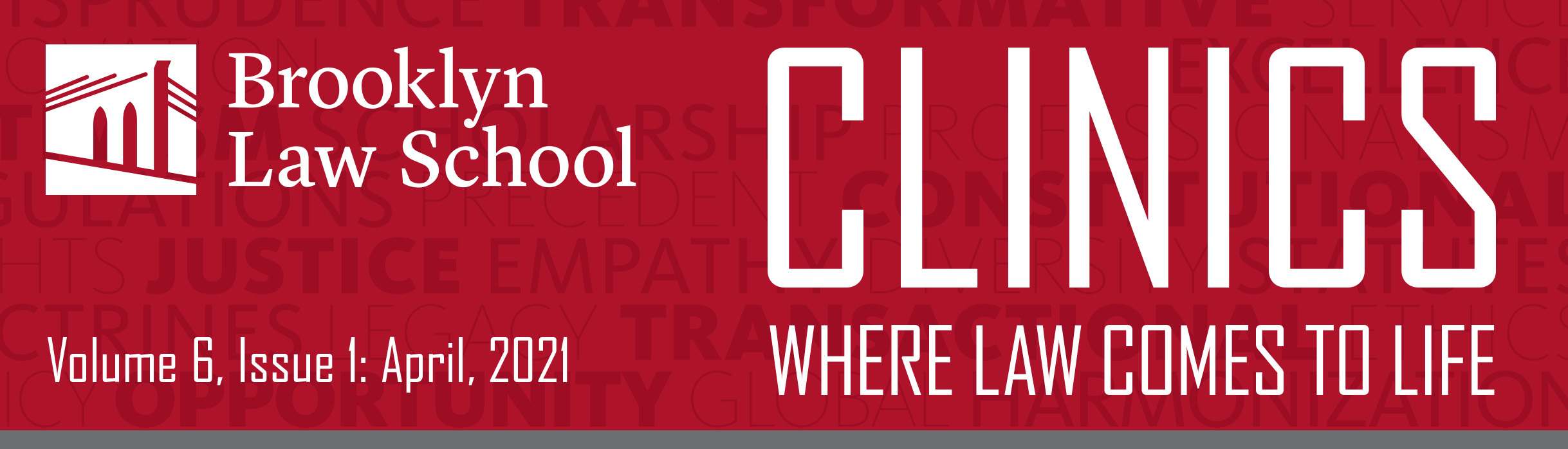 Clinics Newsletter V6.1