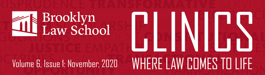 Clinics Newsletter Banner