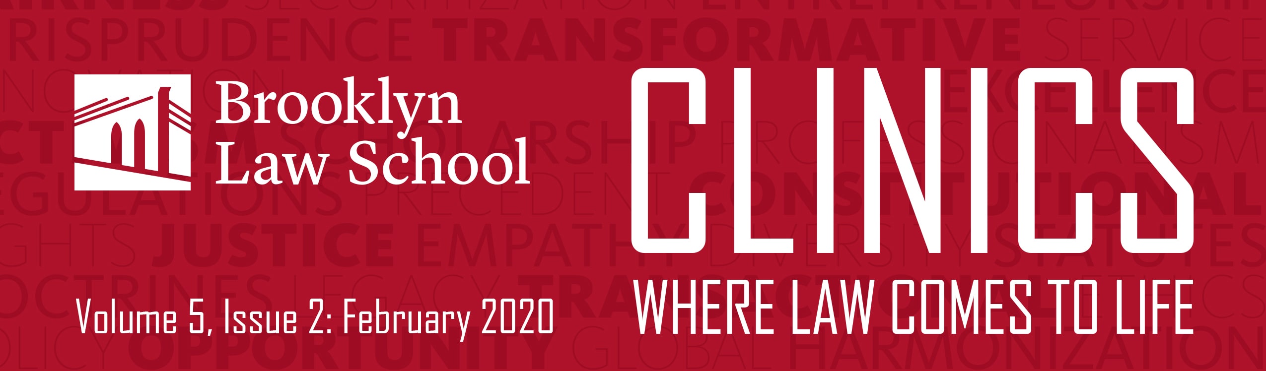 Brooklyn Law School Clinics Newsletter