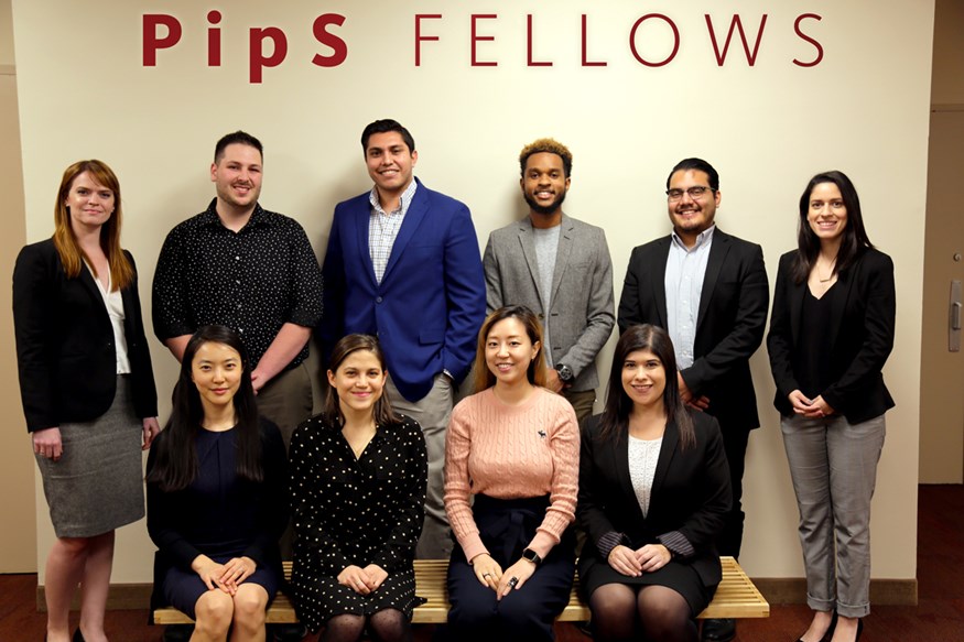 Pips Fellows 2017