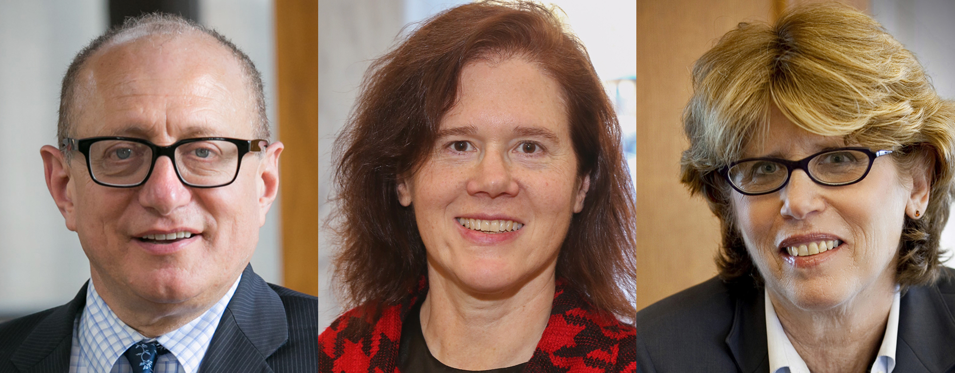 Professors Bernstein, Schneider, and Stein Recognized as Top-Cited Scholars