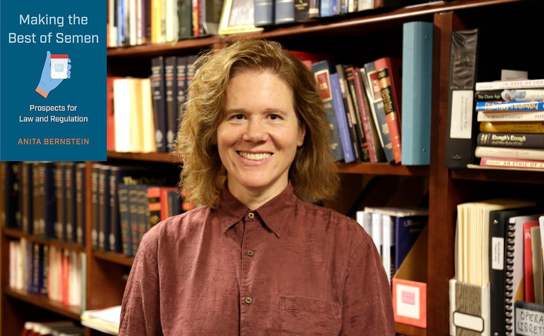 Anita Bernstein book